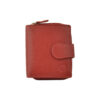 portofoli_187_137_red